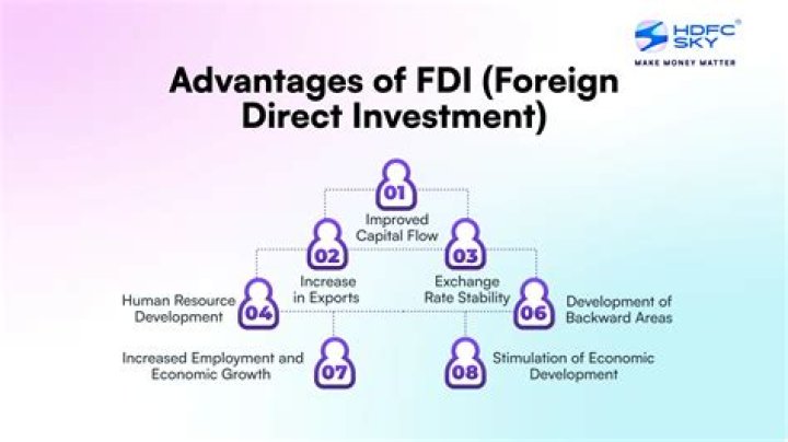 What is the importance of foreign direct investment?