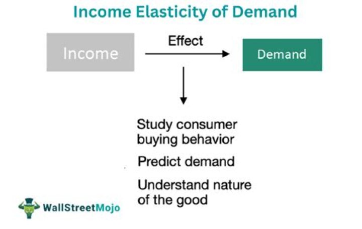 What is the importance of income elasticity of demand to producers and government?