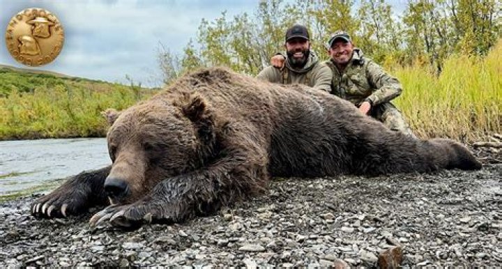 What is the largest grizzly bear ever killed in Alaska?