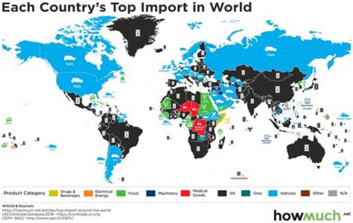 What is the largest importing country?