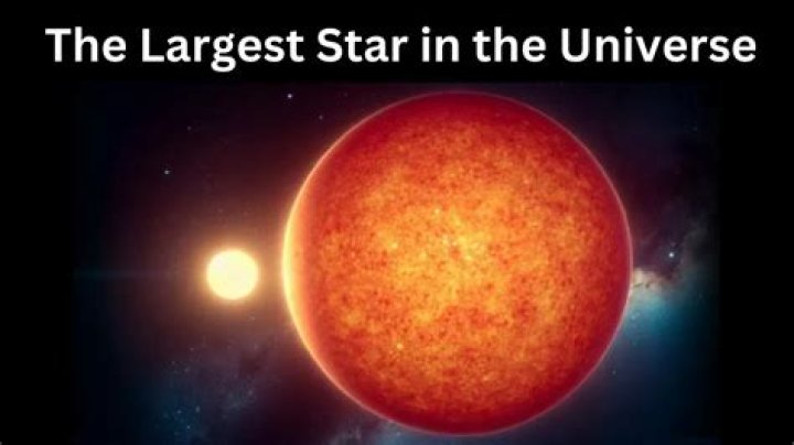 What is the largest star ever discovered?