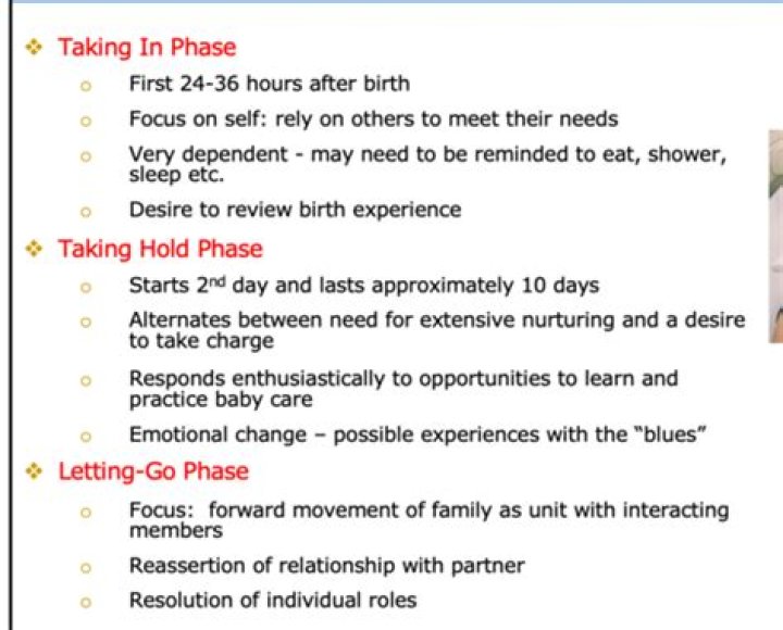 What is the letting-go phase?
