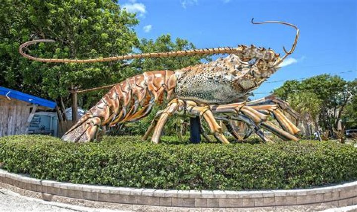 What is the limit for lobster in Florida Keys?