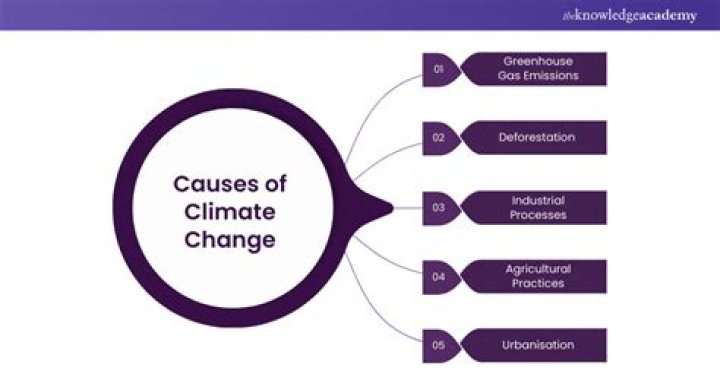What is the main cause of economic crisis?