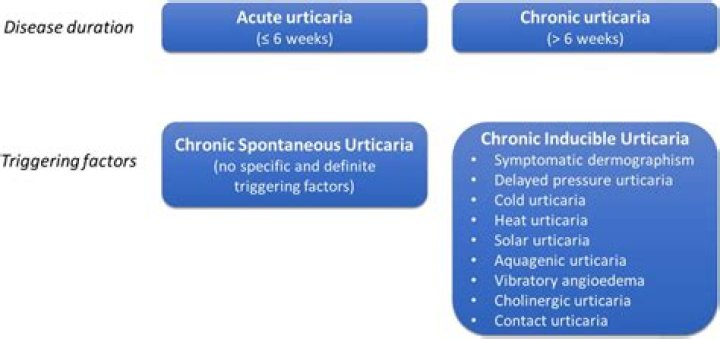 What is the main cause of urticaria?