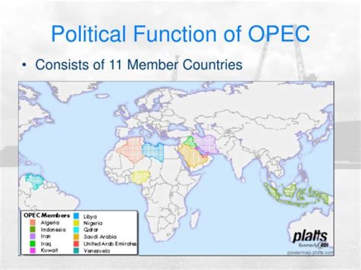 What is the main function of OPEC?