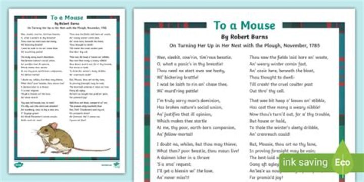 What is the main idea of the poem To a Mouse?