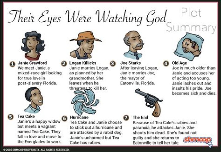 What is the main point of Their Eyes Were Watching God?