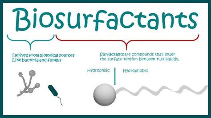 What is the meaning of Biosurfactant?
