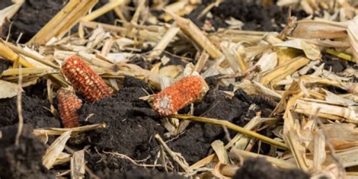 What is the meaning of crop residue?