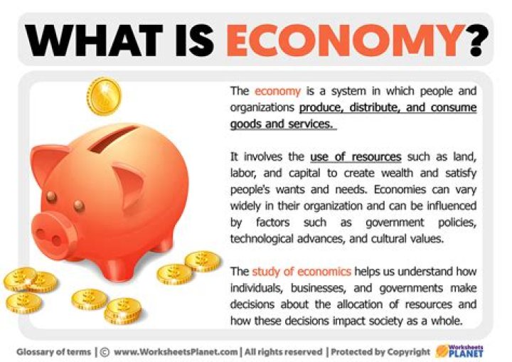 What is the meaning of economic society?