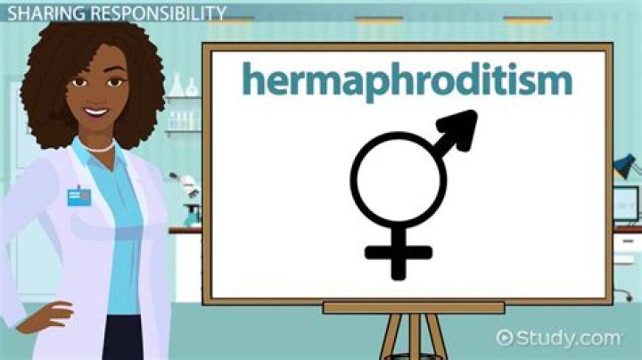 What is the meaning of hermaphroditism?