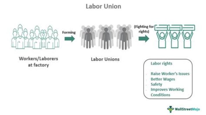 What is the meaning of labor supply?