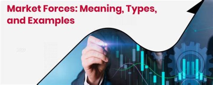 What is the meaning of market forces?