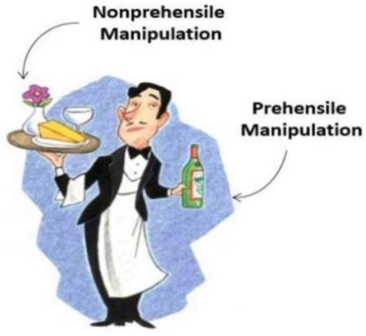 What is the meaning of non prehensile?