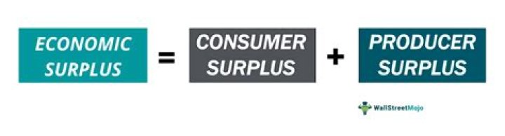 What is the meaning of surplus in economics?