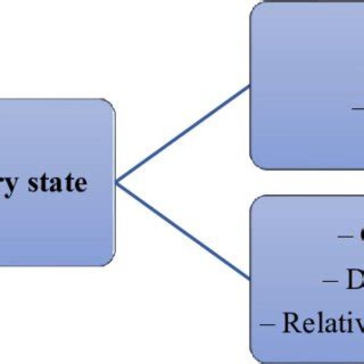 What is the meaning of unitary state?