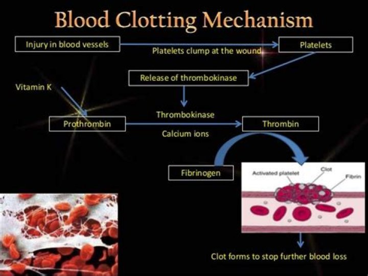 What is the mechanism of blood clotting?
