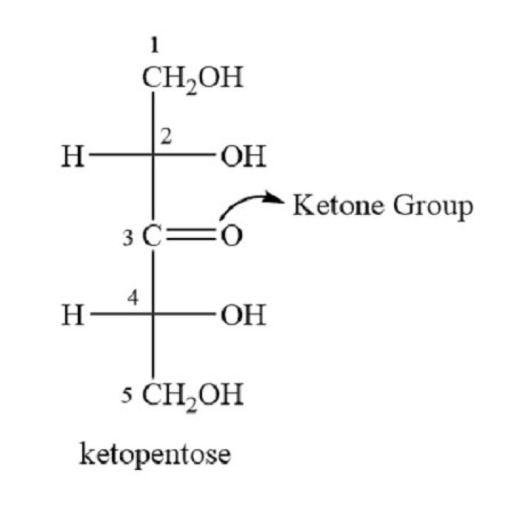 What is the molecular formula of a Ketopentose?