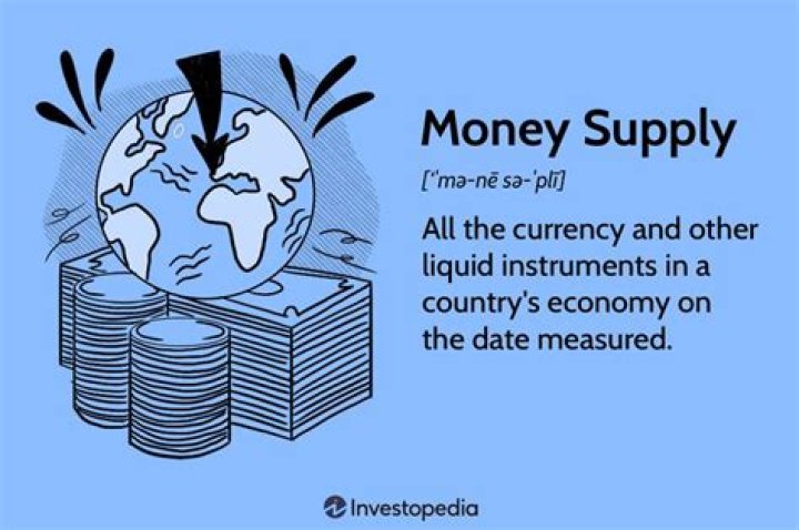 What is the money supply and why is it important quizlet?