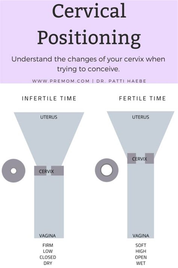 What is the most common cervix position?