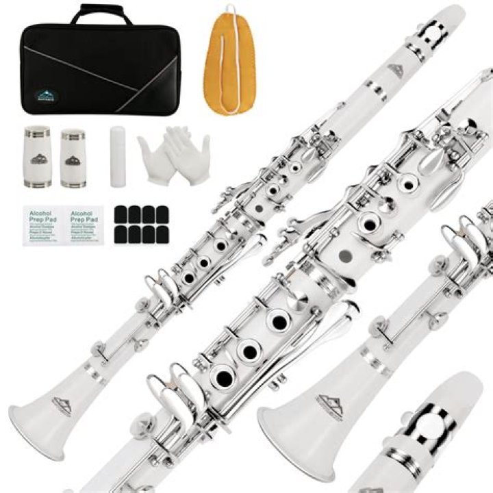What is the most expensive B flat clarinet?