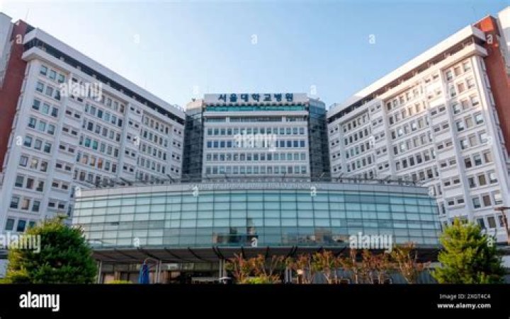 What is the most famous hospital in Korea?