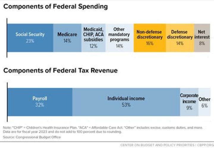 What is the most important source of federal revenue?