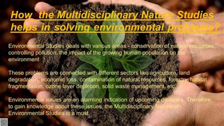 What is the multidisciplinary nature of environmental studies?