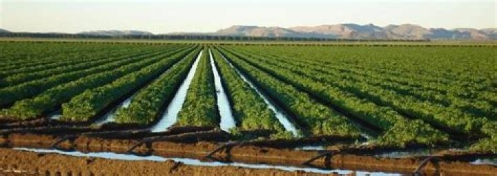 What is the Ord River irrigation scheme?