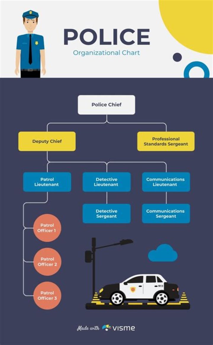 What is the organizational structure of a police department?