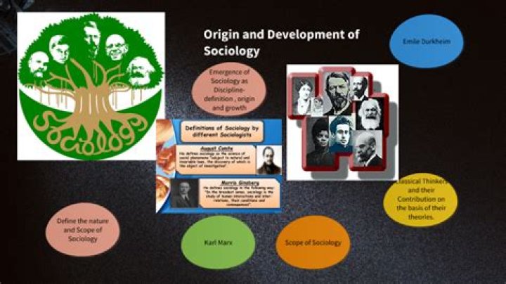 What is the origin and development of sociology?