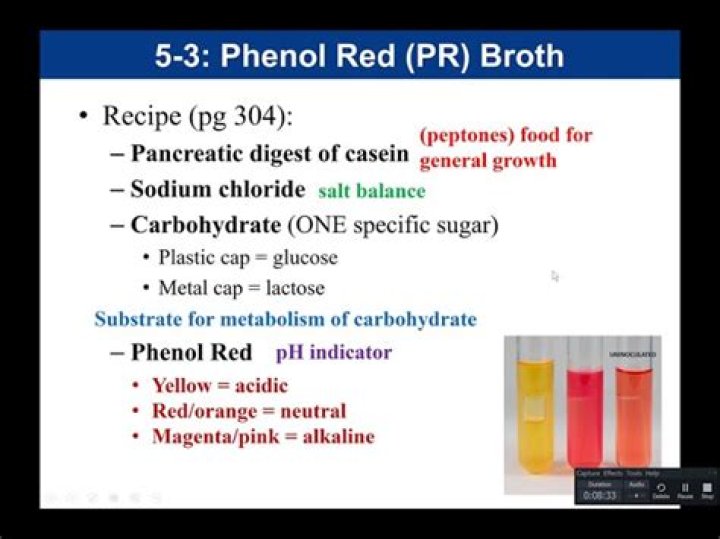 What is the pH indicator in the phenol red lactose medium?