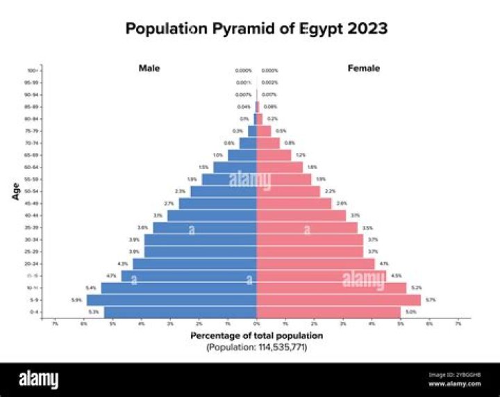 What is the population in Egypt in 2021?