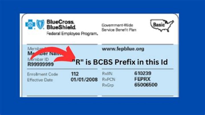 What is the prefix for BCBS?
