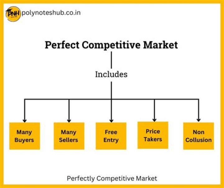 What is the primary characteristic of a perfectly competitive market?