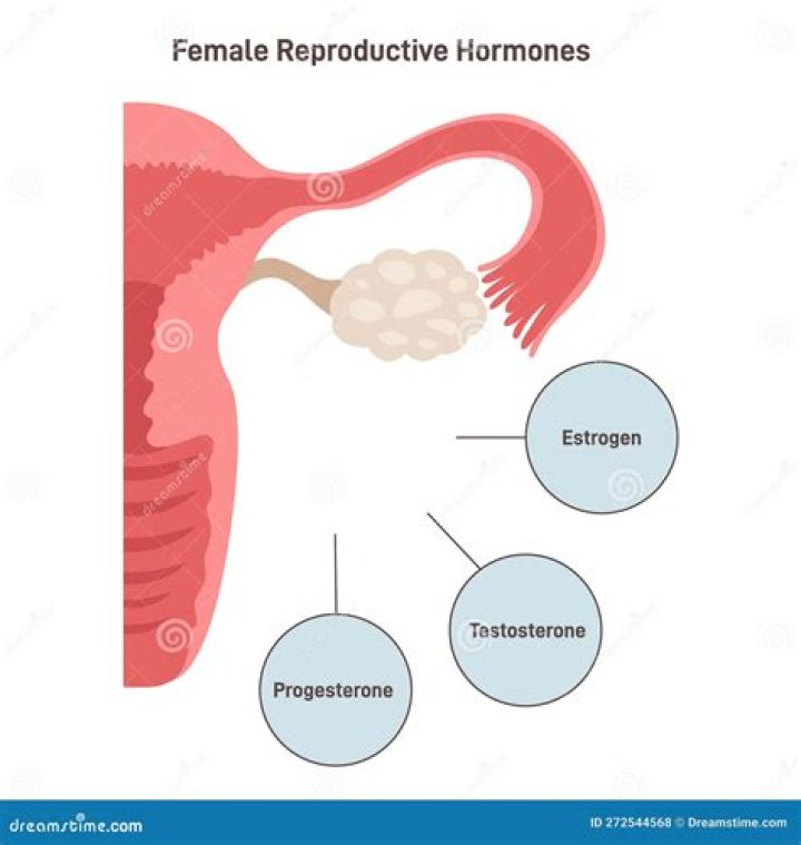 What is the process called when female reproductive organs produce eggs?