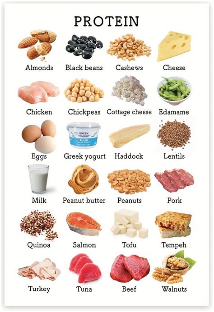 What is the protein food for kids?