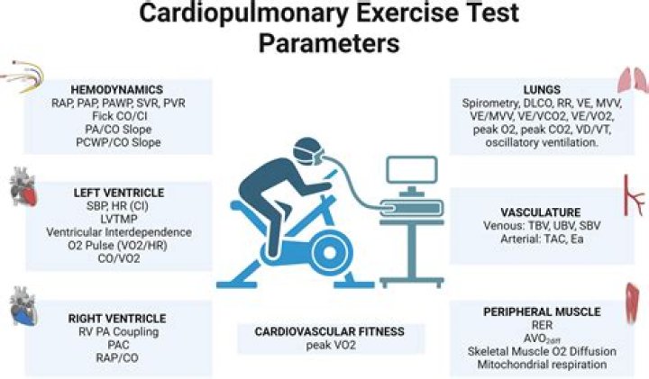 What is the purpose of a cardiopulmonary stress test?