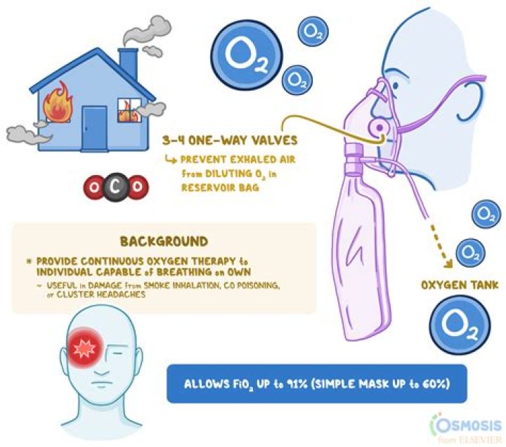 What is the purpose of the Nsna?