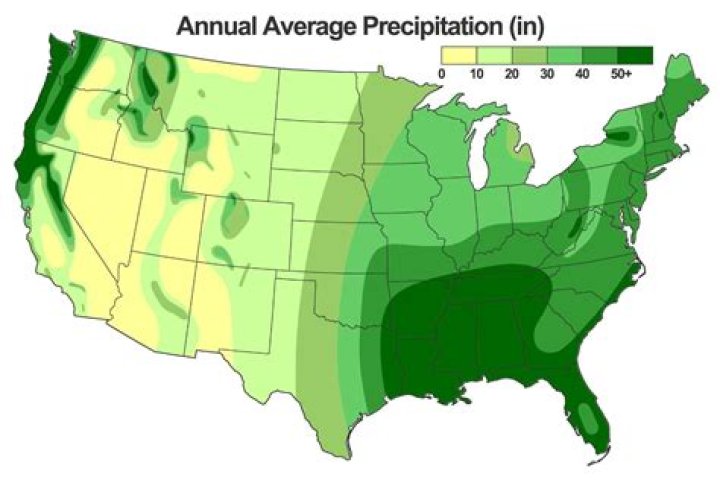What is the rainiest month in Naples Florida?