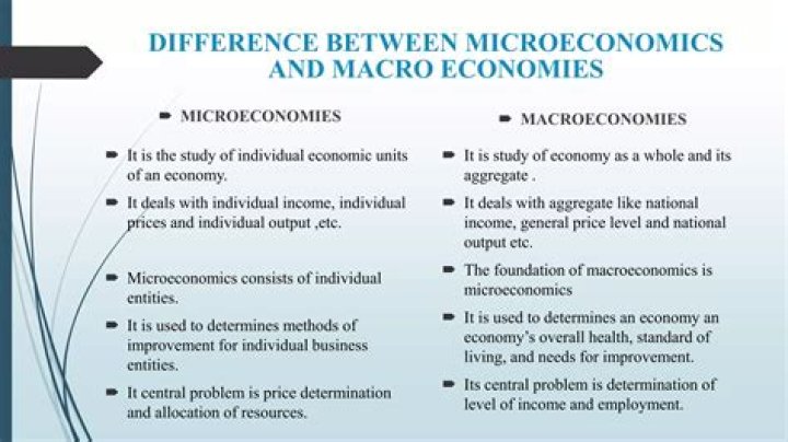 What is the relationship between microeconomics and business?