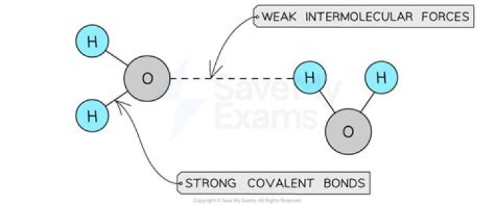 What is the relationship between molecular weight and intermolecular forces?