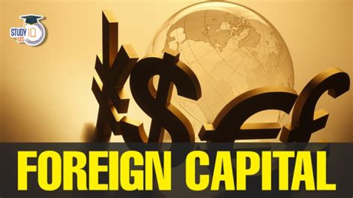 What is the role of foreign capital in economic development?