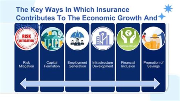 What is the role of insurance in the economy?