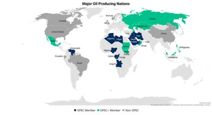 What is the role of OPEC in the world?