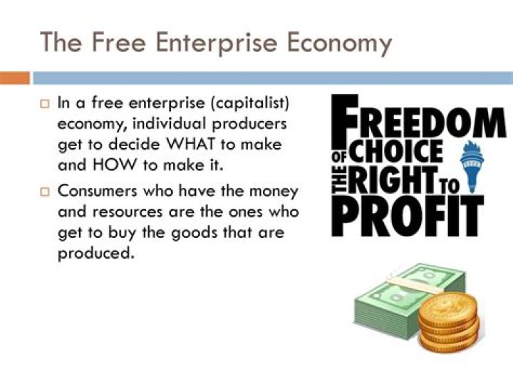 What is the role of the economy in a free enterprise economy?