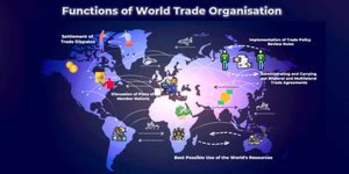 What is the role of WTO in the world economy?