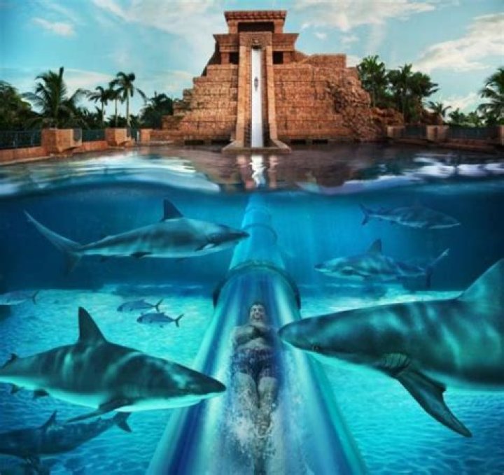 What is the scariest ride in Atlantis Bahamas?