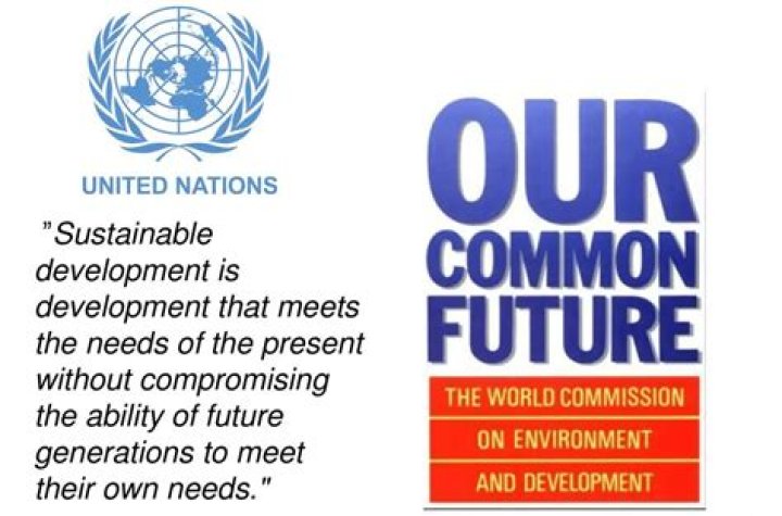 What is the significance of Wced in sustainable development?